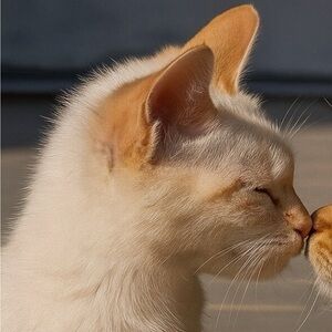 Meet your Posher, Mara